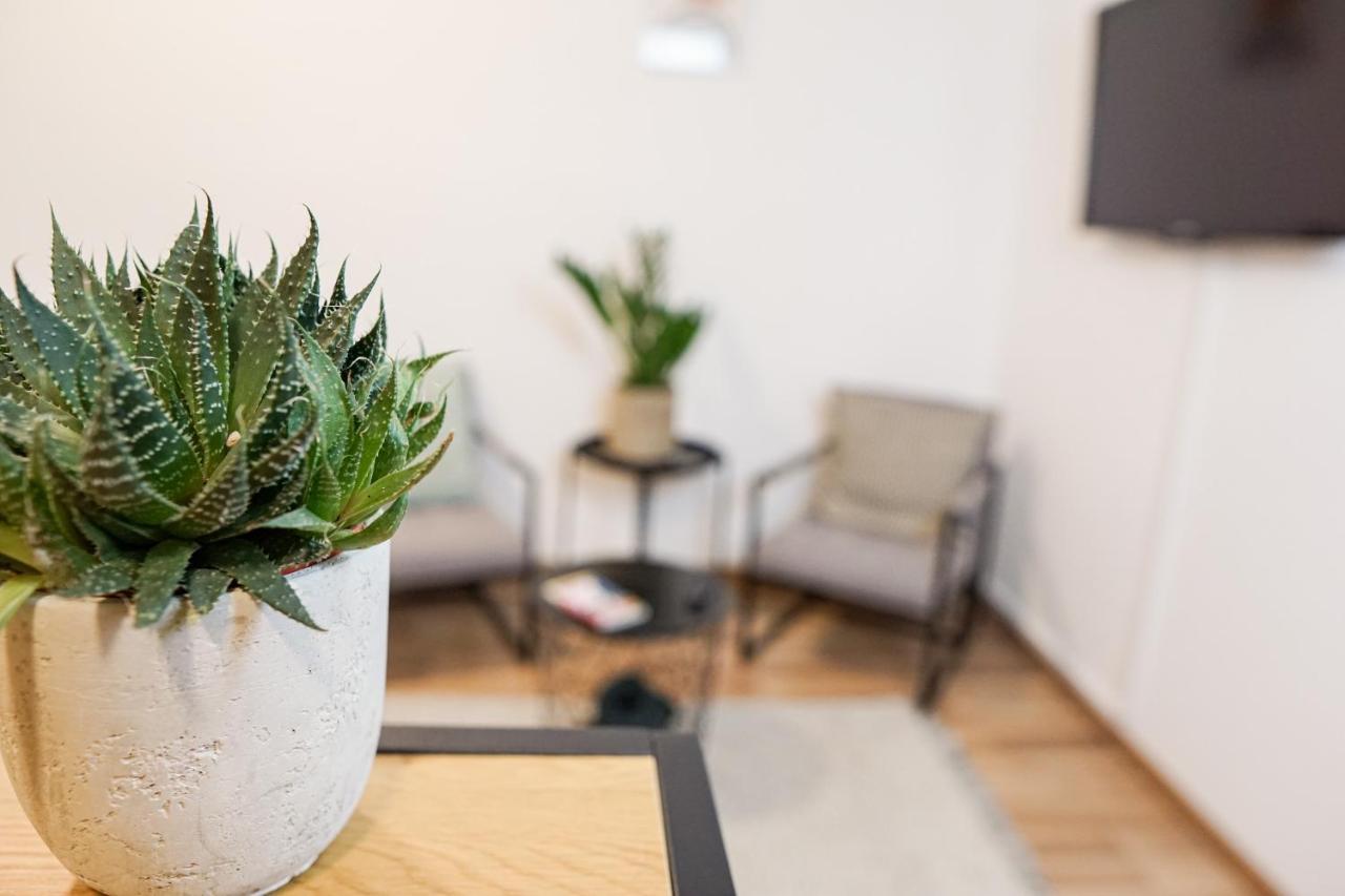 Homy I Stilvolles Apartment Gohlis Netflix & W-Lan لبسيا المظهر الخارجي الصورة